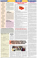 दैनिक लातूर प्रभात  24 Mar.2024 pag 1-43