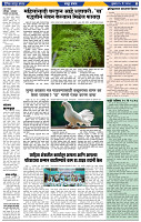 दैनिक लातूर प्रभात 15 May .2024 pag 1-43