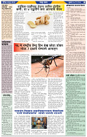 दैनिक लातूर प्रभात 17 May .2024 pag 1-43