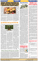 दैनिक लातूर प्रभात 15 June 20254
