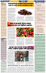 दैनिक लातूर प्रभात 02 June 2024 pag 1-43