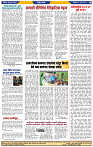 दैनिक लातूर प्रभात 13 July 2025 1-44